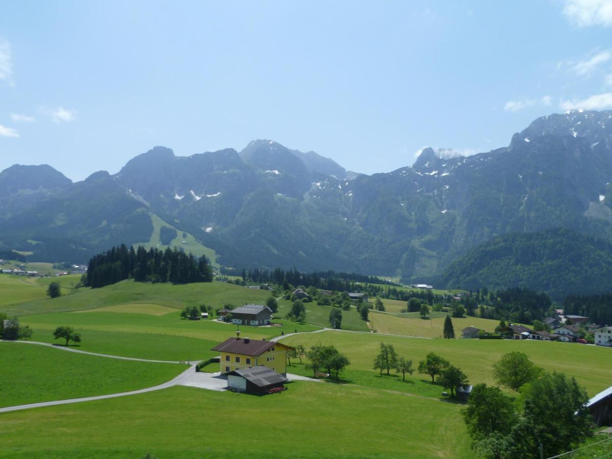 Apartement Obweghof Abtenau, Salzburger Land Eksteriør billede